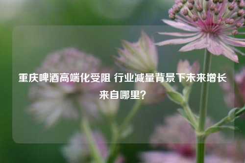 重庆啤酒高端化受阻 行业减量背景下未来增长来自哪里？