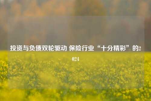 投资与负债双轮驱动 保险行业“十分精彩”的2024