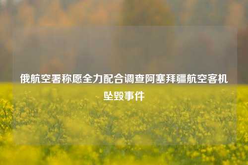 俄航空署称愿全力配合调查阿塞拜疆航空客机坠毁事件