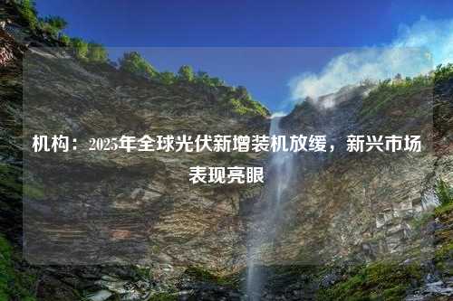 机构：2025年全球光伏新增装机放缓，新兴市场表现亮眼