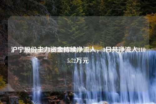 沪宁股份主力资金持续净流入，3日共净流入1105.72万元