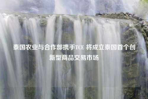 泰国农业与合作部携手TCE 将成立泰国首个创新型商品交易市场