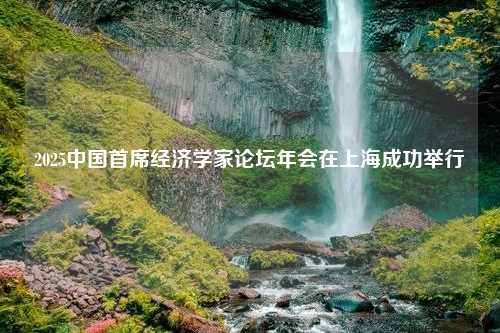 2025中国首席经济学家论坛年会在上海成功举行