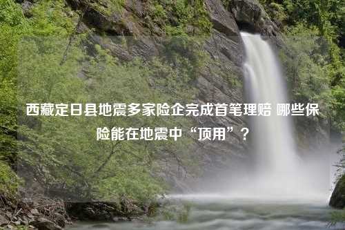 西藏定日县地震多家险企完成首笔理赔 哪些保险能在地震中“顶用”？