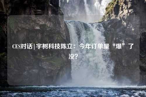 CES对话|宇树科技陈立：今年订单量“爆”了没？