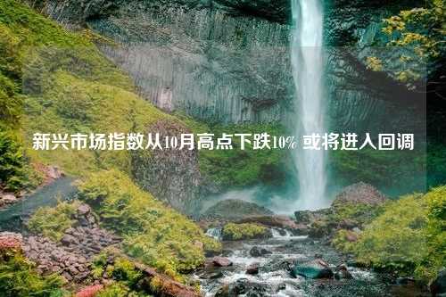 新兴市场指数从10月高点下跌10% 或将进入回调